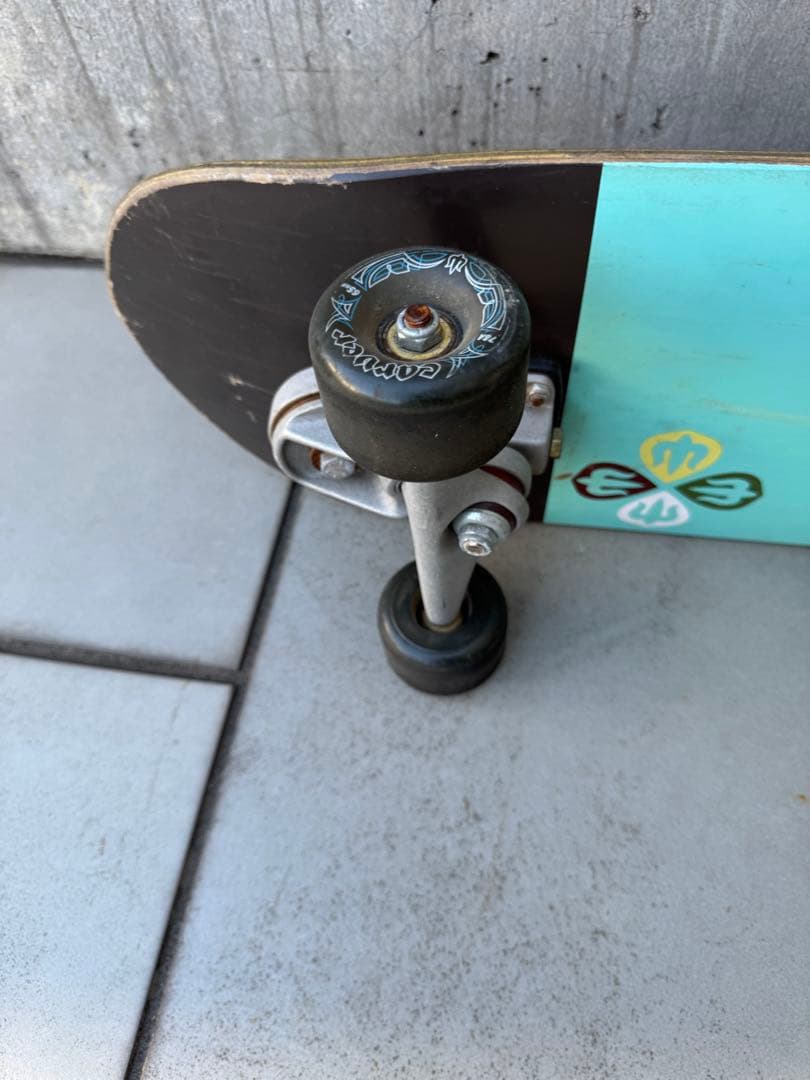 Carver Skateboards カーブトラック スケートボード