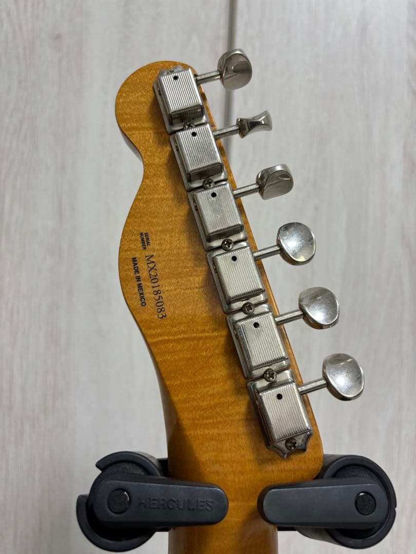 ターサン Jason Isbell Custom Telecaster