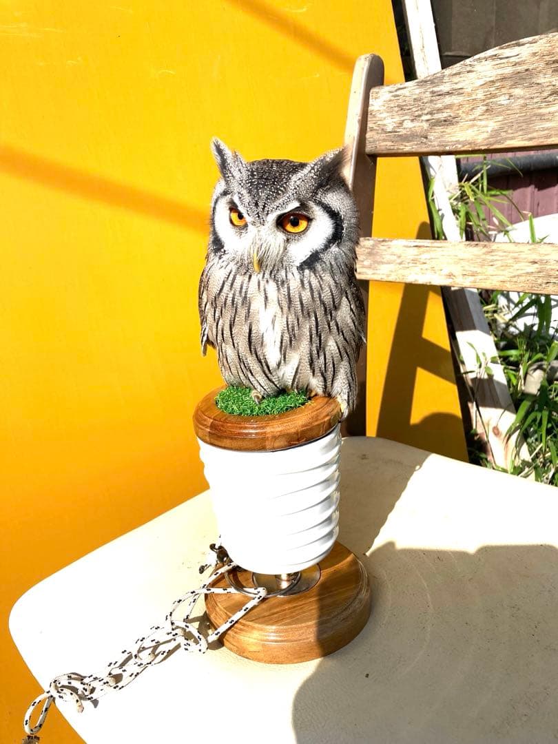 極　小型猛禽パーチ、ファルコンブロックA