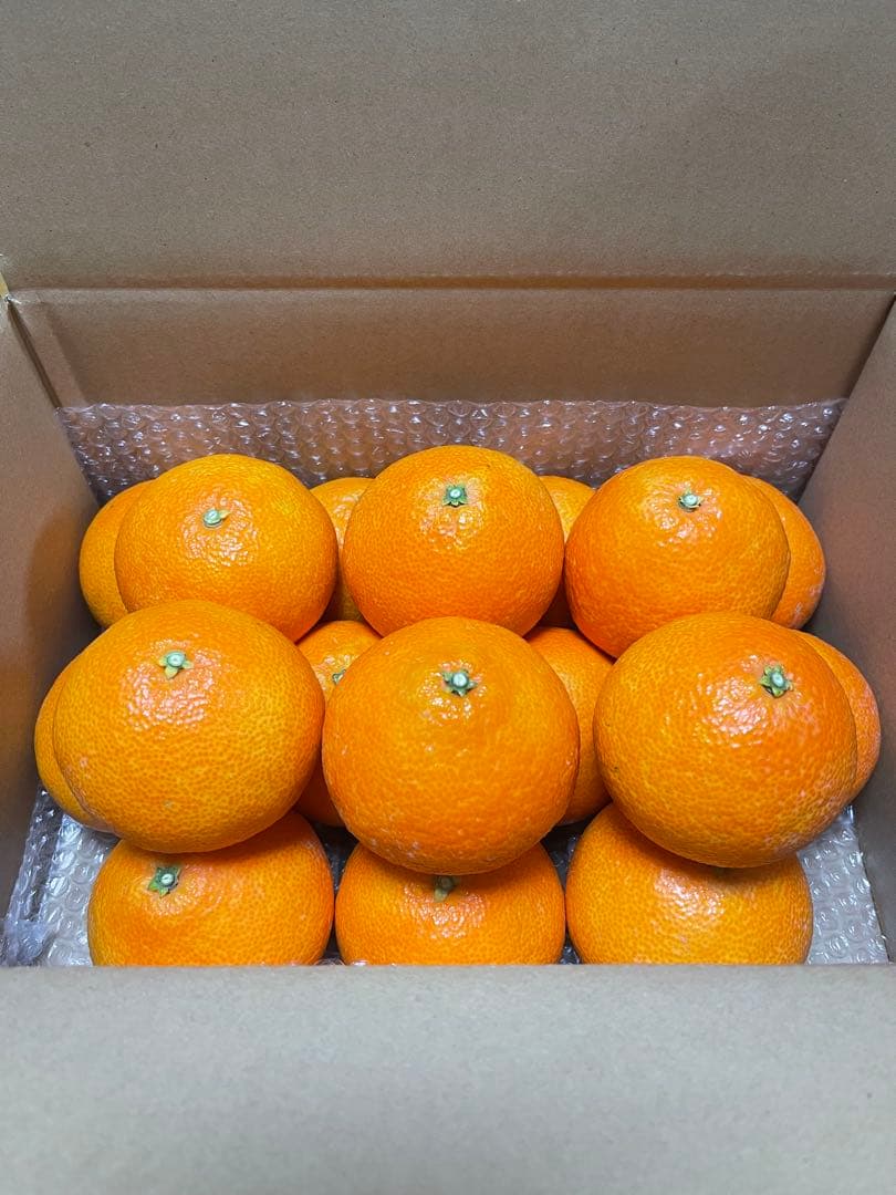 紅まどんな(5kgx2箱)⚠特選3L玉