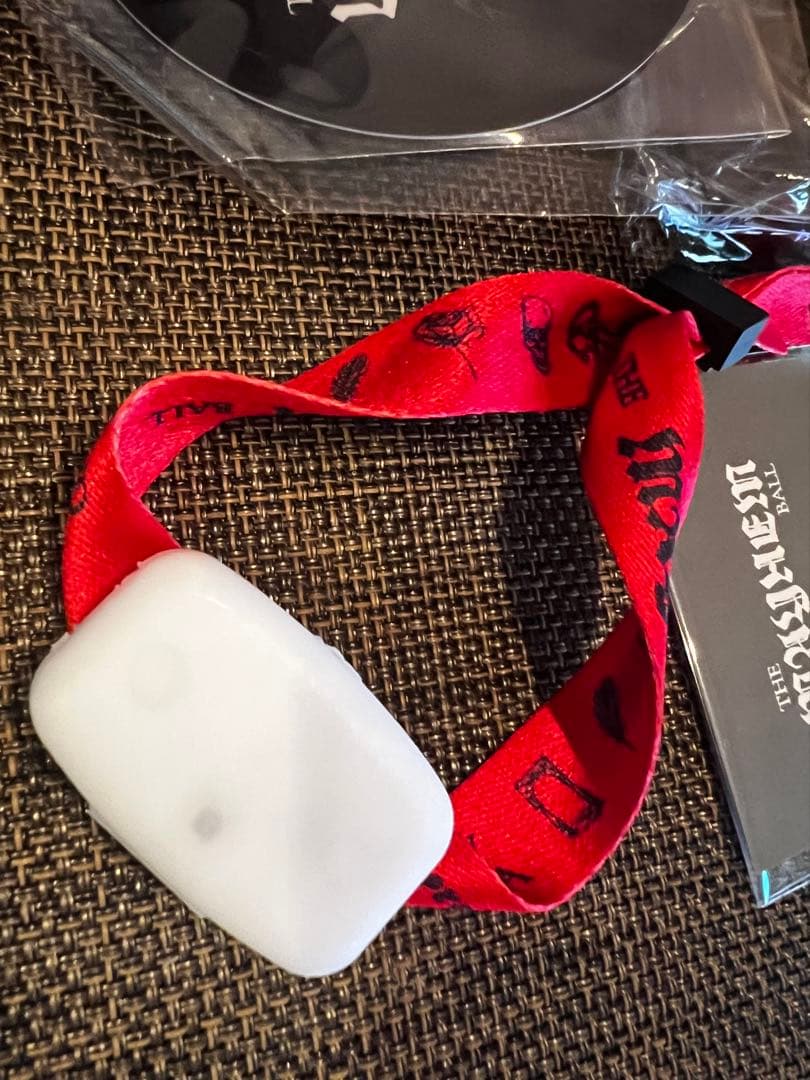 Lady Gaga 2026 LIVE 特典