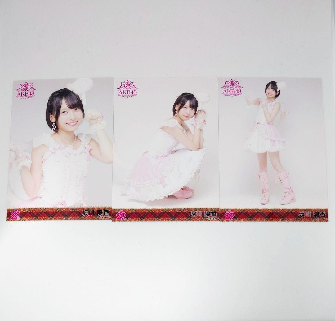 【Y】 AKB48 武道館コンサート 生写真セット