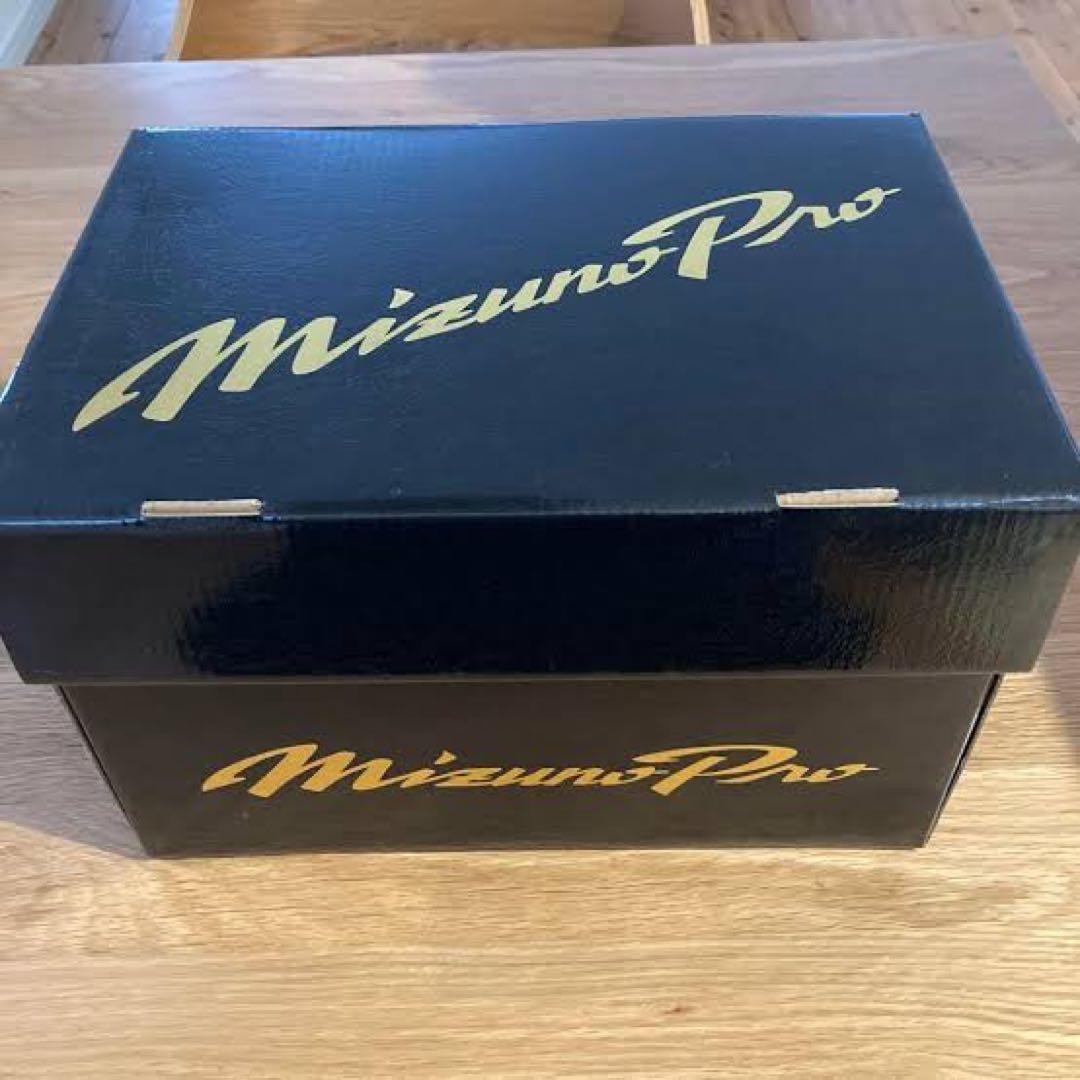 ミズノプロ　グローブ　硬式用　30周年限定モデル サイズ9 箱付き