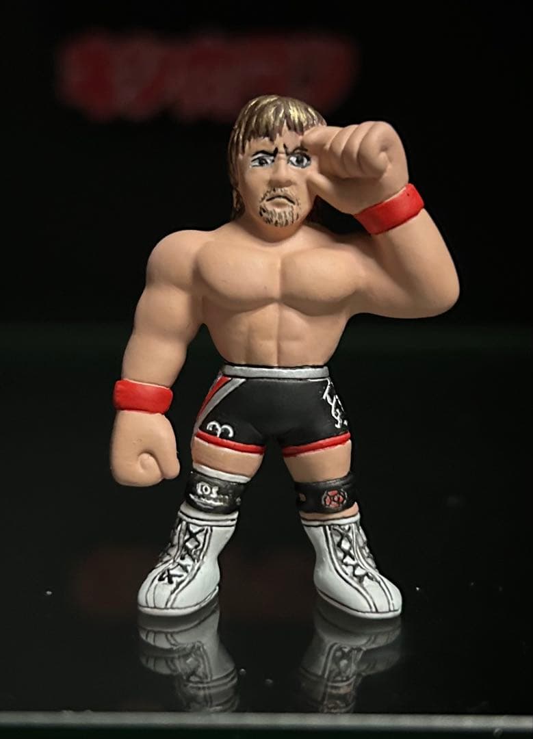 レイ　プロレスラー消しゴム　リペイント品