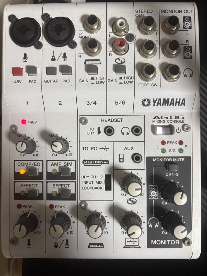 エルサ　YAMAHA AG06