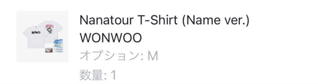 seventeen セブチ　ウォヌ　ナナツアー　tシャツ