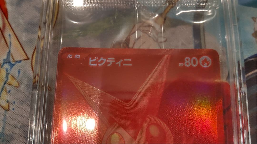 ポケモンカード ビクティニ BWR争奪戦 大会景品 未開封