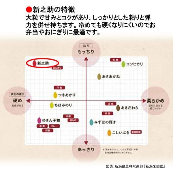 ひいちゃん　新之助玄米10kg
