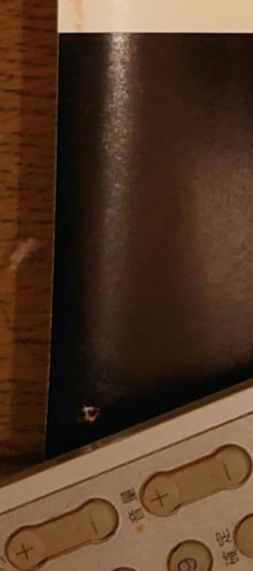 激レア　ハイティーブギ　告知ポスター　杉本哲太