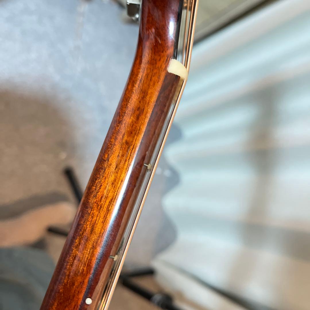 Eastman E10 SS 【book13さん専用】