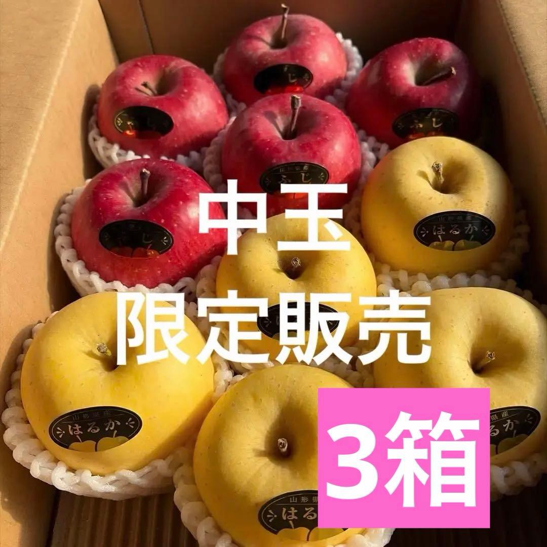 山形県産りんご　サンふじ＆はるか　贈答用　3キロ10玉フルーツキャップ詰め×3箱