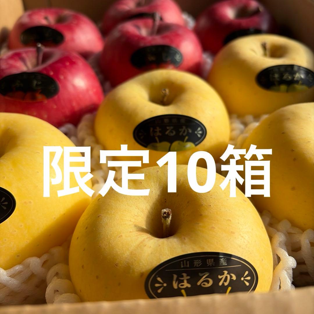 山形県産りんご　サンふじ＆はるか　贈答用　3キロ10玉フルーツキャップ詰め×3箱