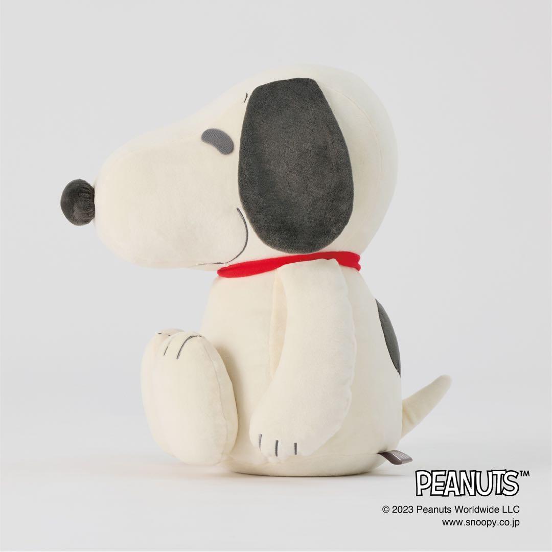 ⭐️新品未使用MIZUNO⭐️コラボ スヌーピー メディシンボール 2kg