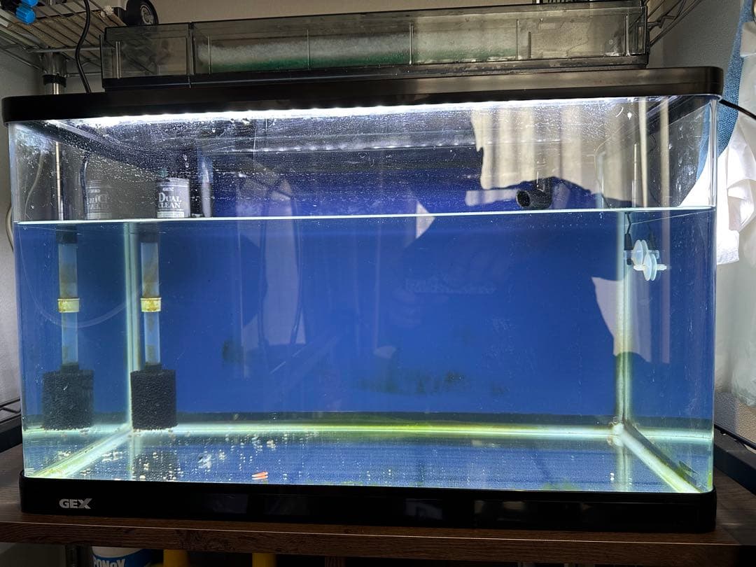 ６０センチ　水槽　曲げガラス　ライト　上部フィルター　GEX