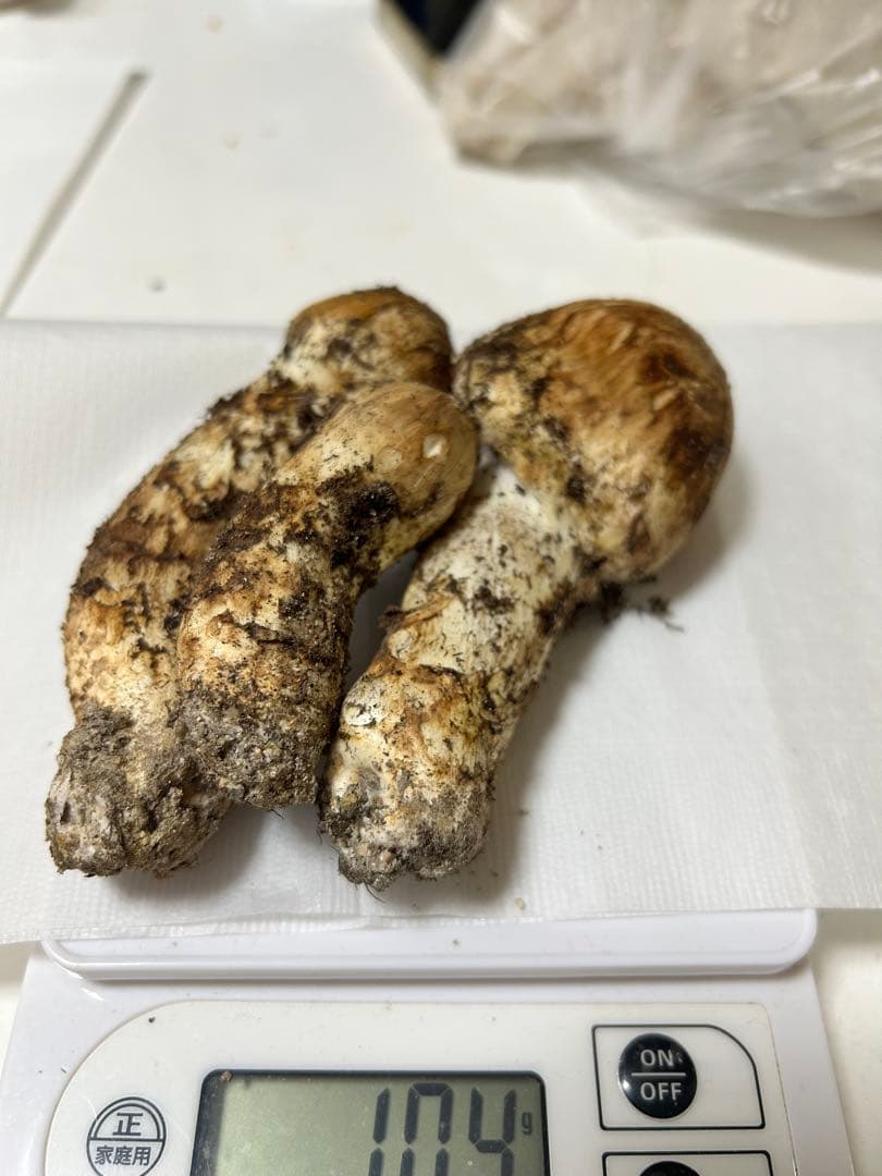 極上広島県産松茸104g