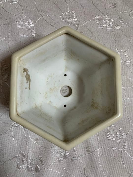 祥石　六角　白　盆栽鉢