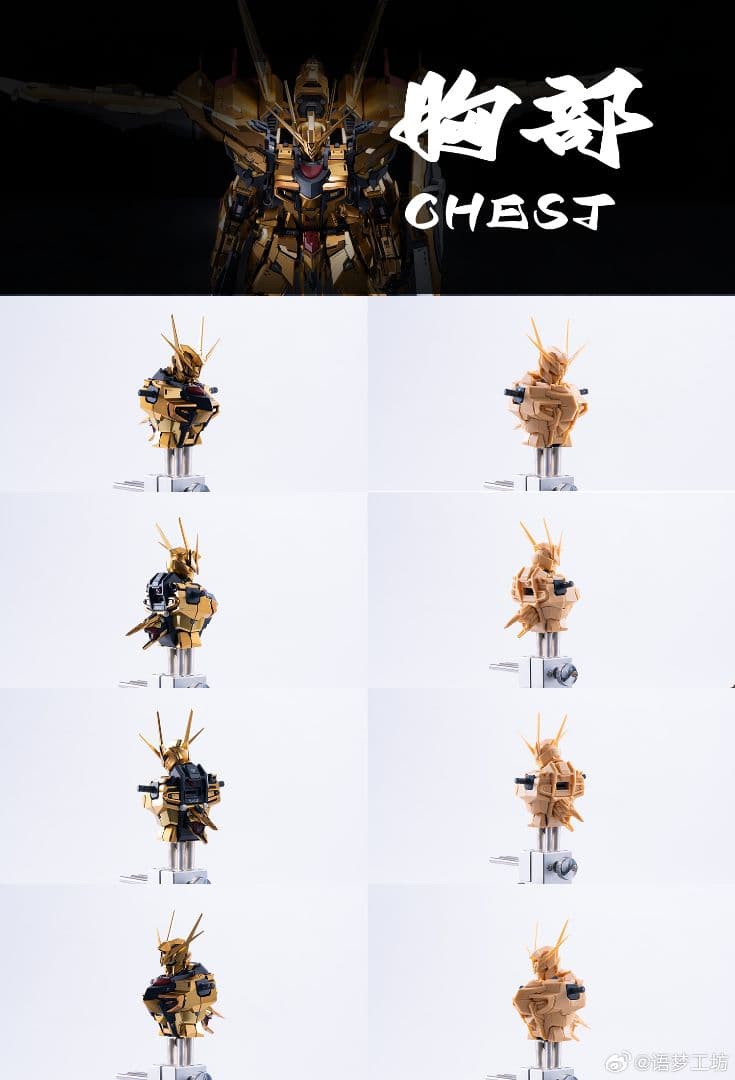 1/100アカツキガンダム ガレージキット