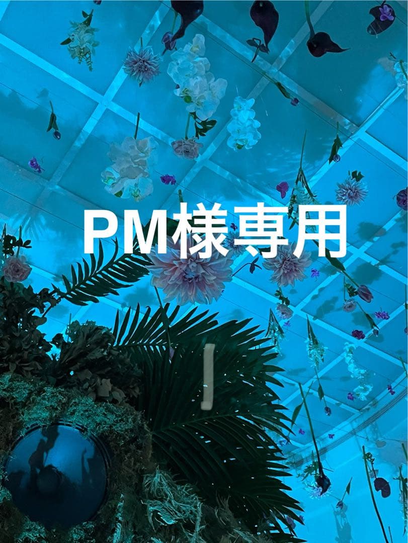 【ラウンド使用ナシ】Ping i230 アイアン #5-W 6本 FREX S