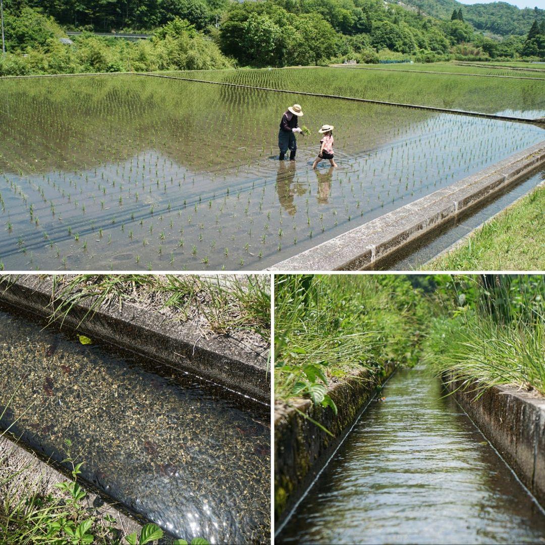 Rii 様　連絡専用ページ