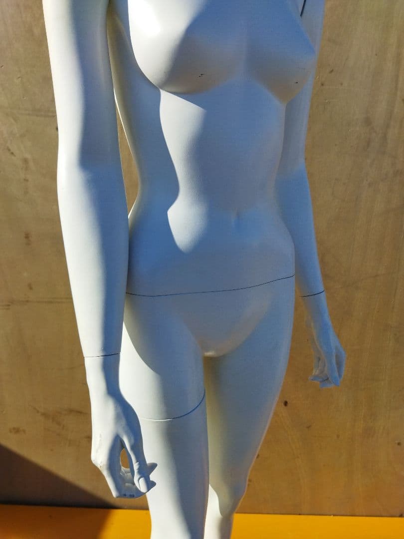 女性用マネキン トルソー 約51×47×H160cm　人形　等身大