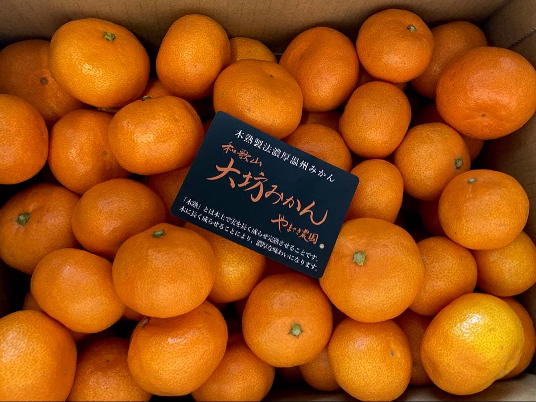 せぶん! 温州みかん 樹熟大坊みかん 秀品(贈答品同様)2Sサイズ10kg