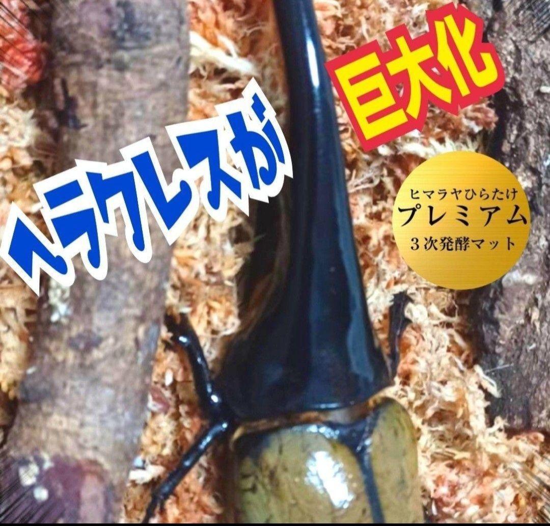 極上！カブトムシ幼虫の餌・産卵に！プレミアム3次発酵マット【たっぷり6袋セット】