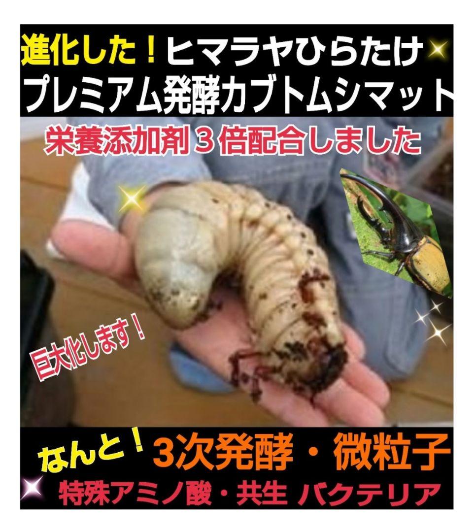 極上！カブトムシ幼虫の餌・産卵に！プレミアム3次発酵マット【たっぷり6袋セット】