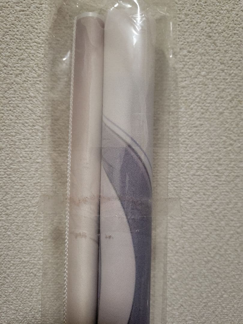 冴えない彼女の育て方　ロングタペストリー