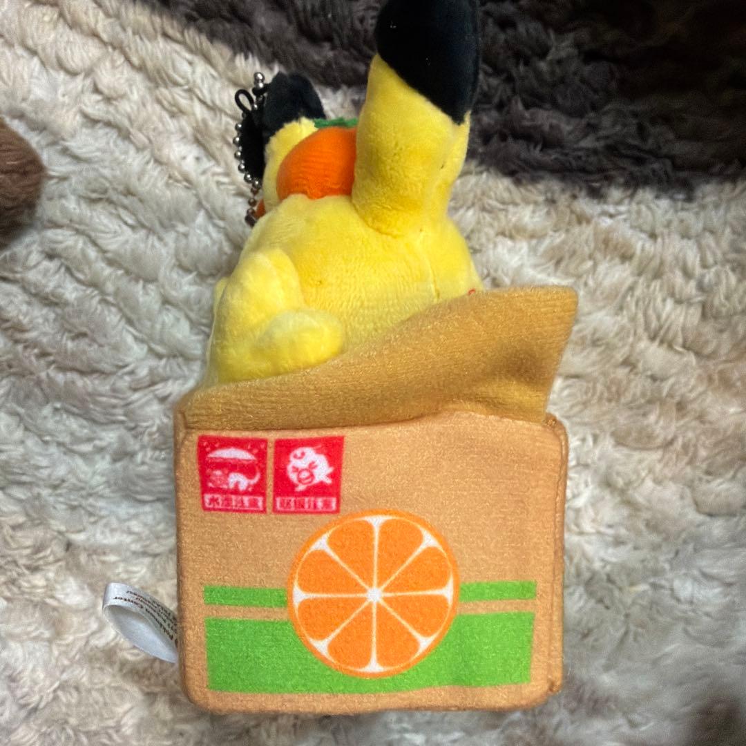 ピカチュウ ぬいぐるみ オレンジの箱入り