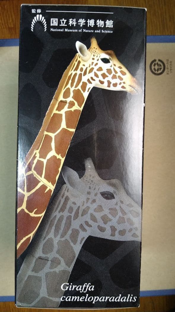 大哺乳類展 会場限定 ツノのある動物図鑑 キリンBOX