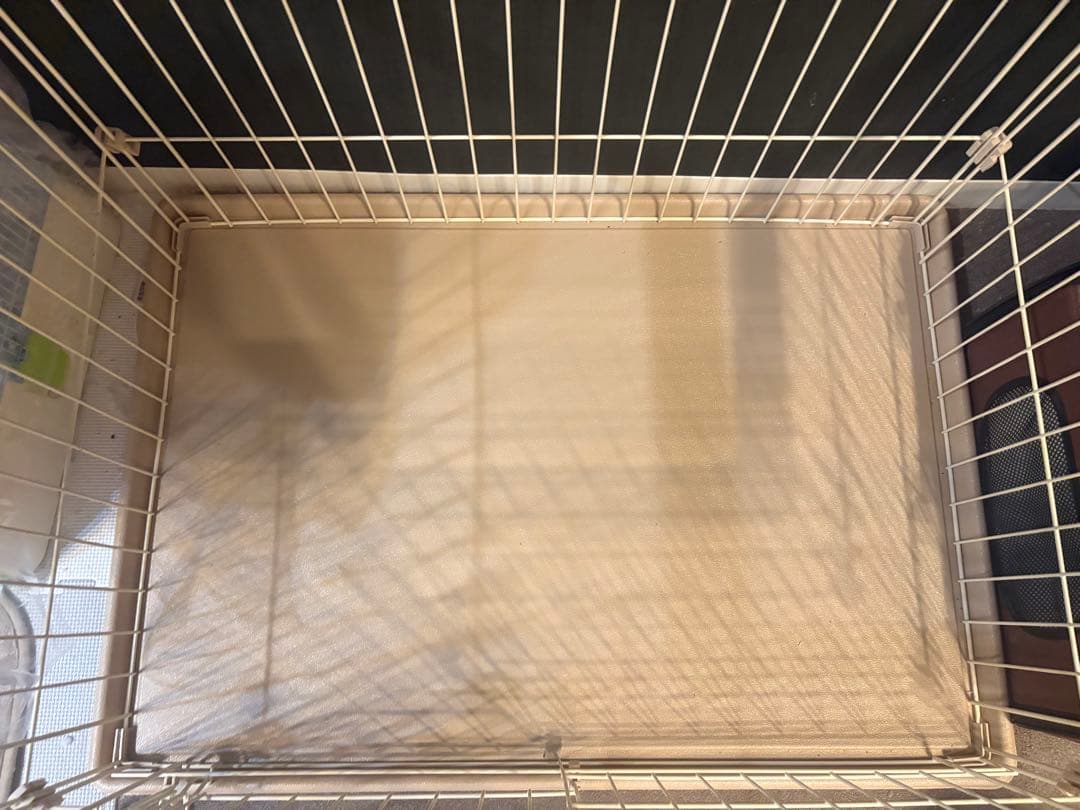 インテリアフレームサークル ナチュラル