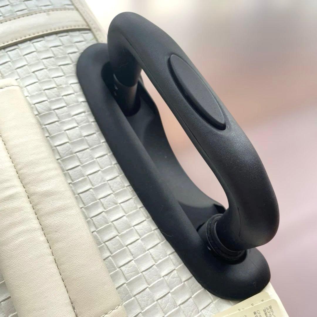 【新品】ペットパラダイスメッシュ窓付き犬用キャリーバッグ fieldglide