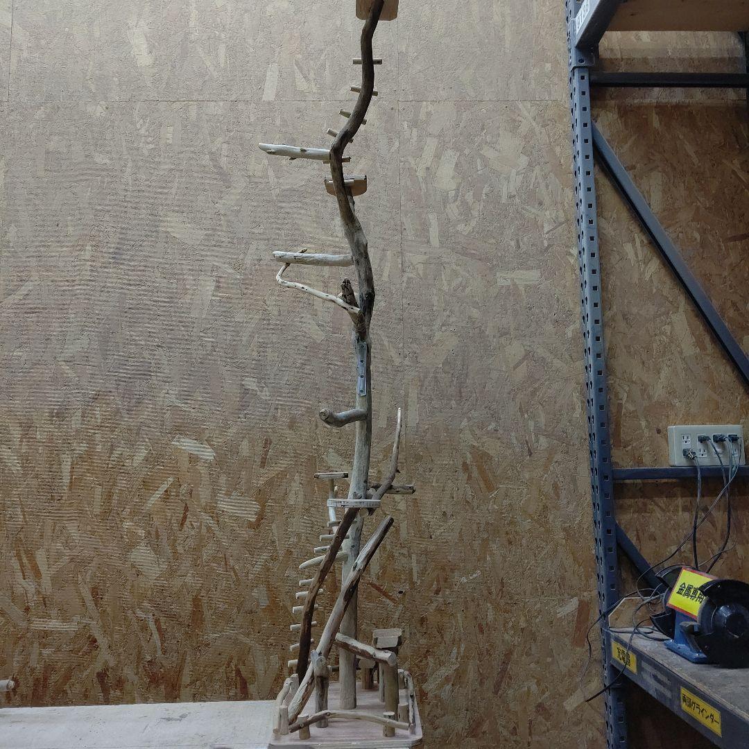 しょうた枠バードアスレチックジム大型(62) 鳥インコ止まり木、流木、