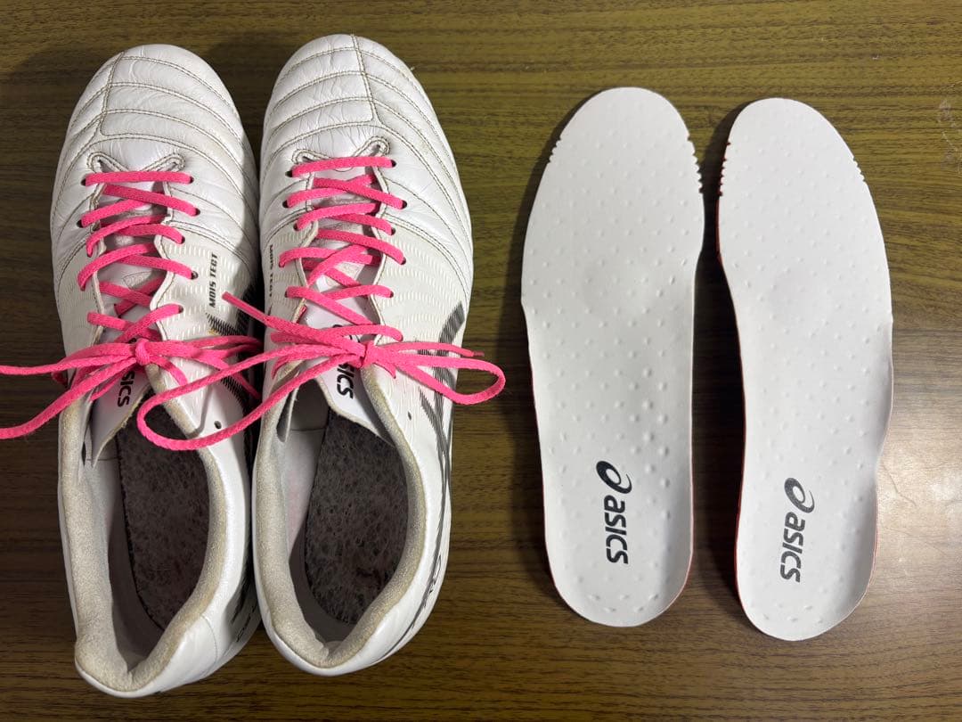 asics DS LIGHT X-FLY PRO 取り替え式　27.5