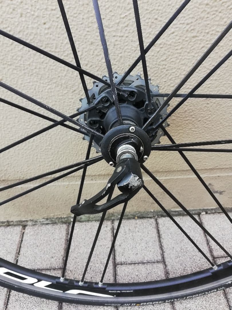 カンパニョーロ EURUS　ユーラス カンパフリー クリンチャー　タイヤ付