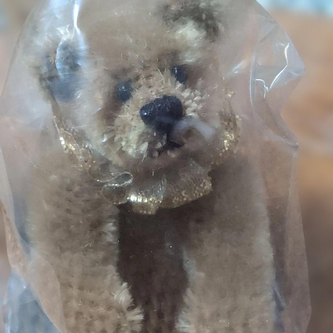 テディベアー、テディ、シュタイフ、ワールドミニュチュアベアー