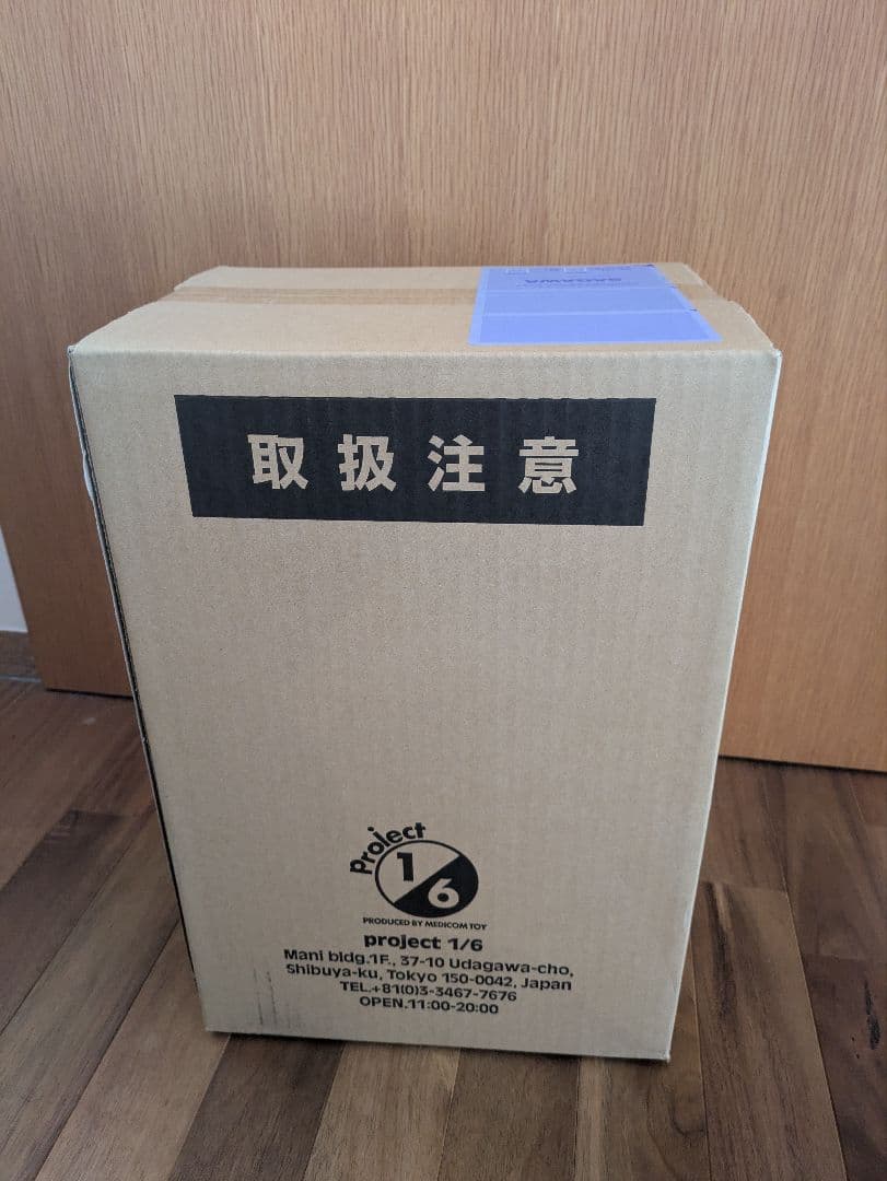 安楽安作 デストロイア　メディコムトイ