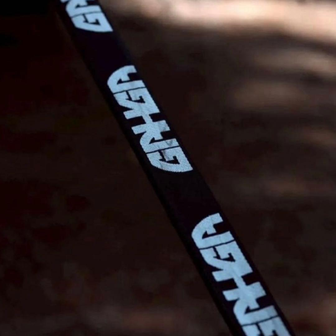 【新品未使用】GAHGA 蓄光 ガイロープ 2本セット ガーガ