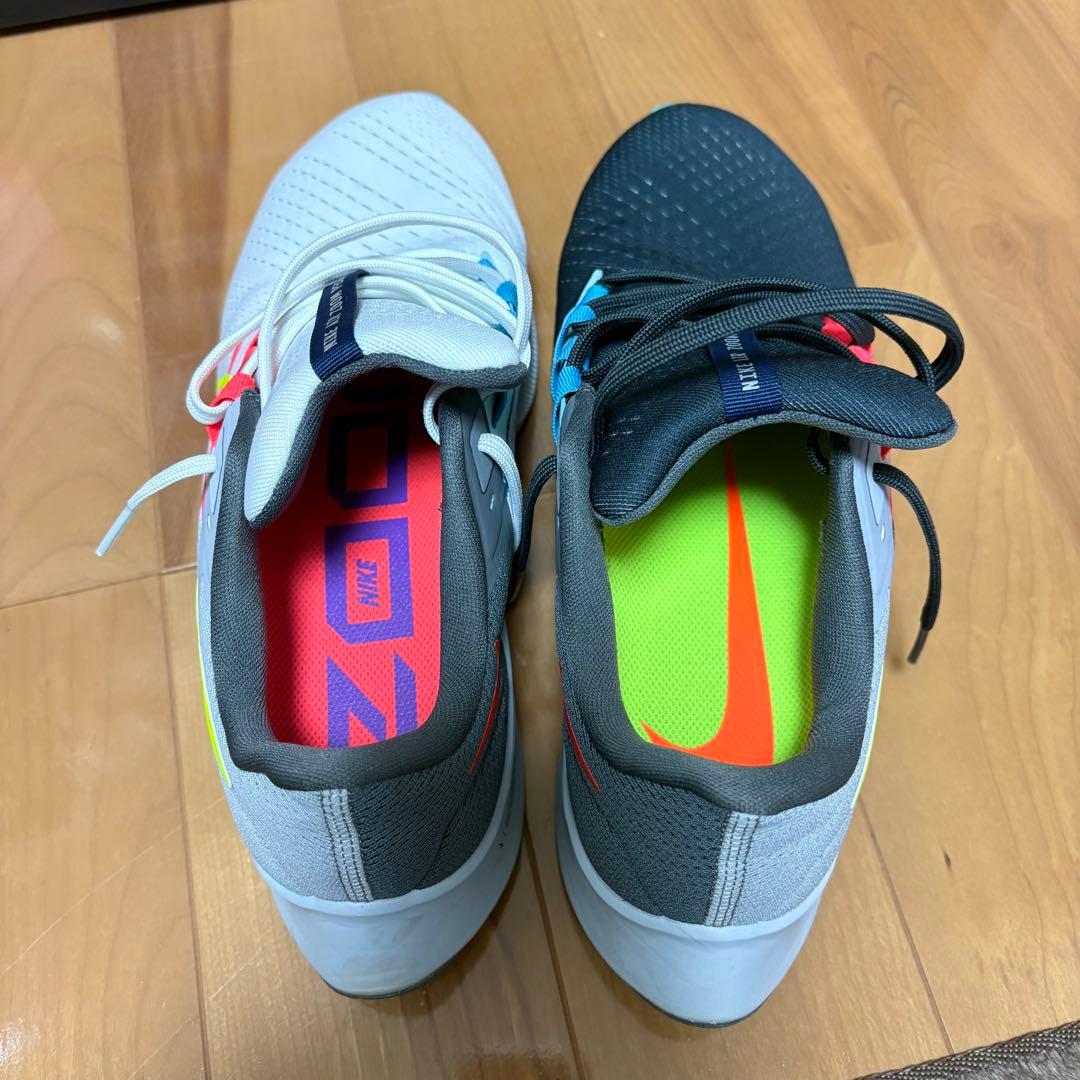 ズームペガサス