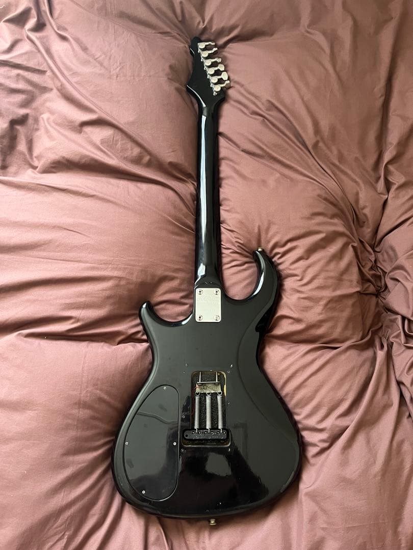 【調整済】Ariaproii アリアプロ　WILDCAT DX ギター　訳有