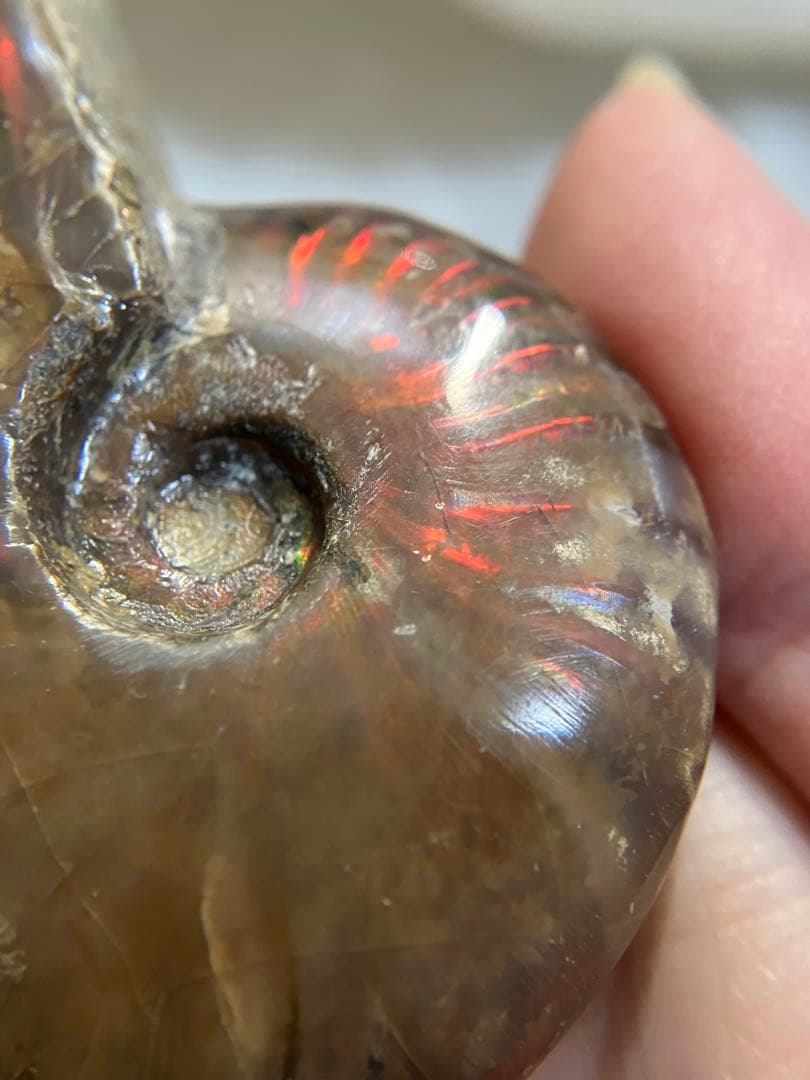 天然石 アンモライト アンモナイト 73g 6.5cmマダガスカル 鉱物標本