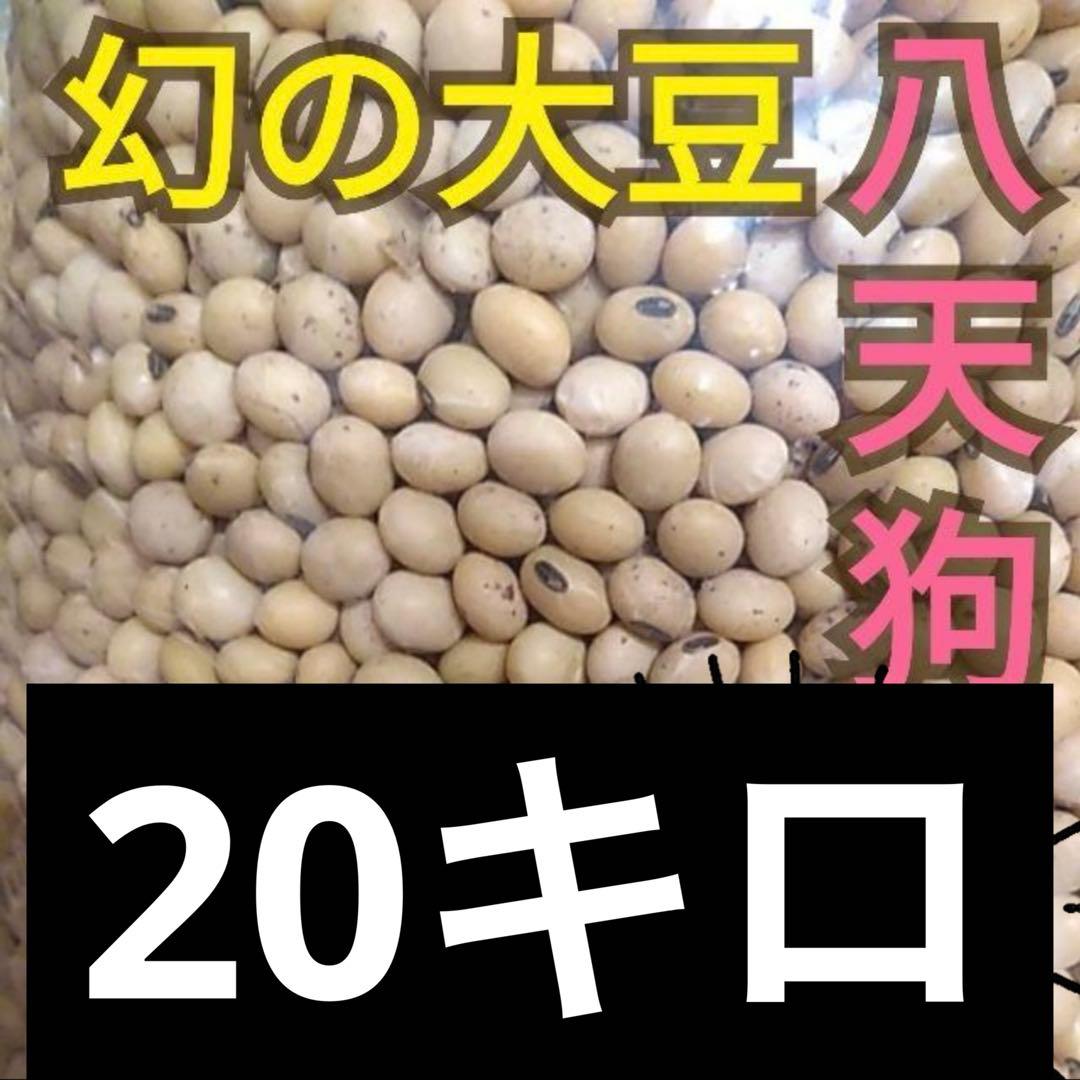 自然栽培　幻の大豆『八天狗』20kg 熊本県産
