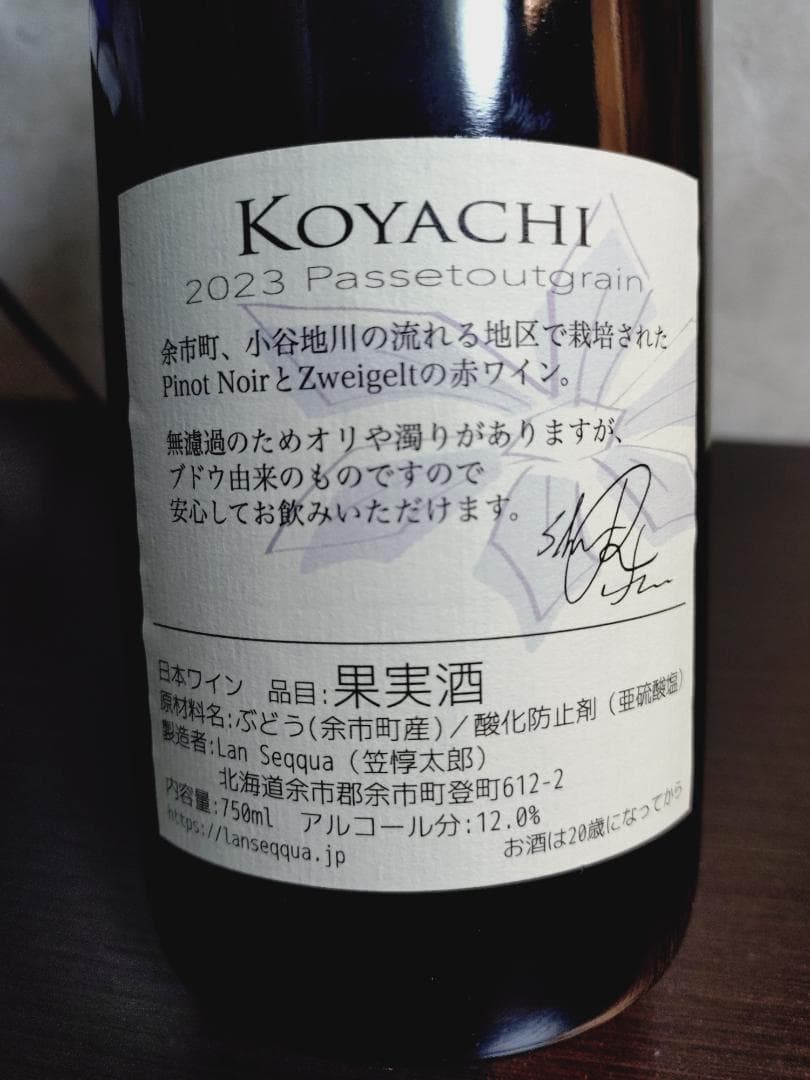 2023 KOYACHI パストゥグラン