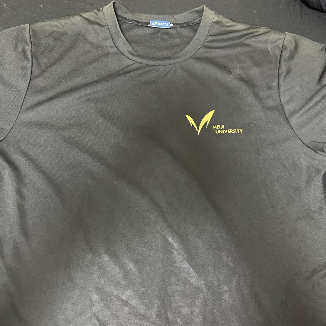 明治大学 バレーボールチーム Tシャツ