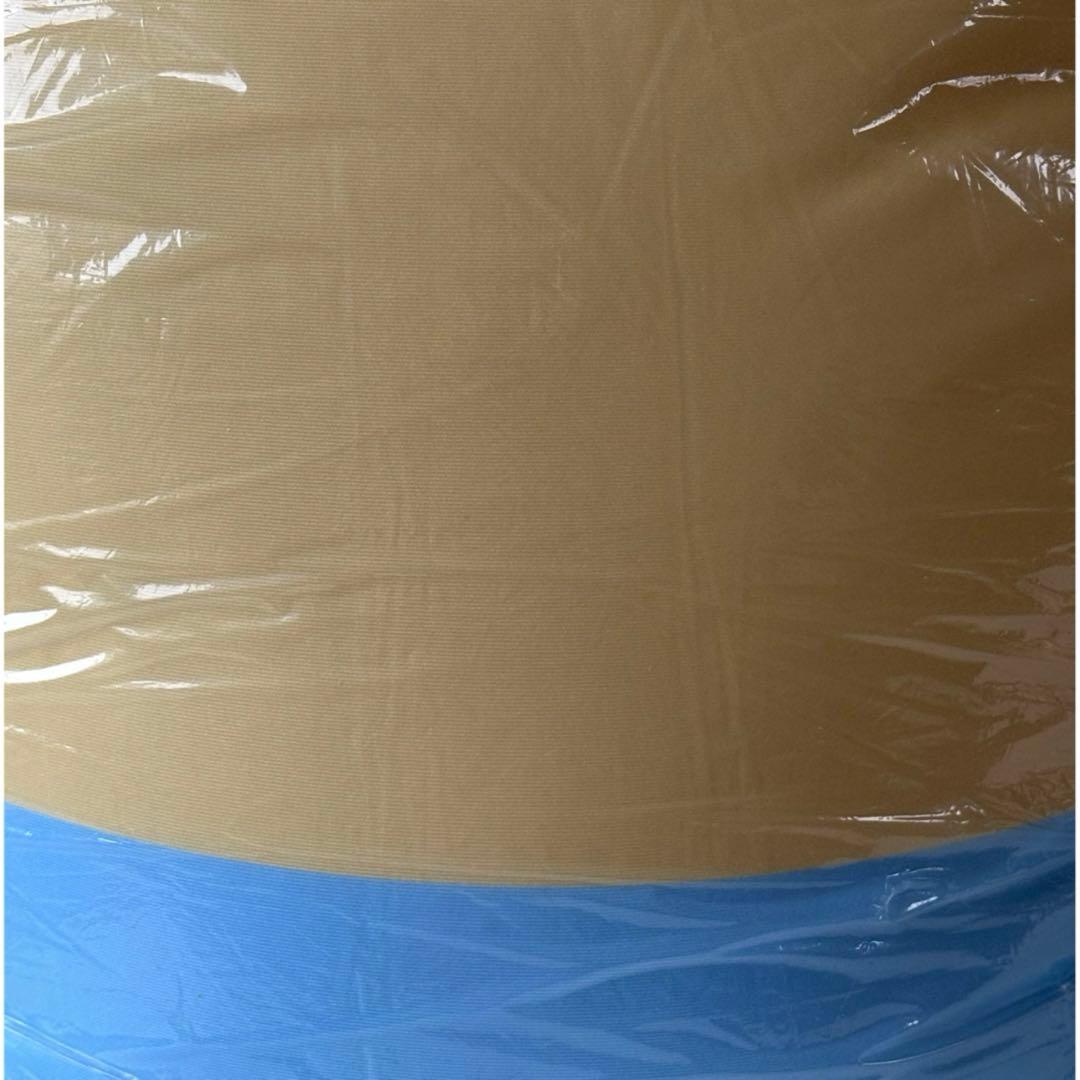 ふなっしー　ビーズクッション　ビッグ　新品　未使用　クッション　特典　BIG