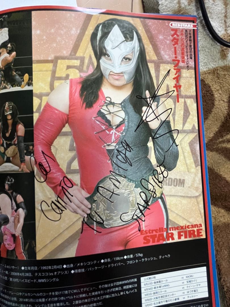 スターダム観戦ガイドブック 紫雷イオ、岩谷麻優、サンダーロックカード付き