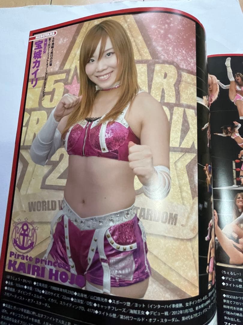 スターダム観戦ガイドブック 紫雷イオ、岩谷麻優、サンダーロックカード付き