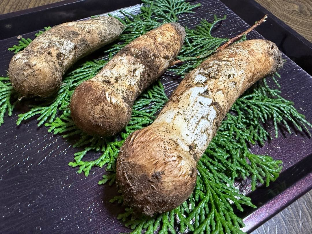 【送料込み】信州産 松茸 3本 126g