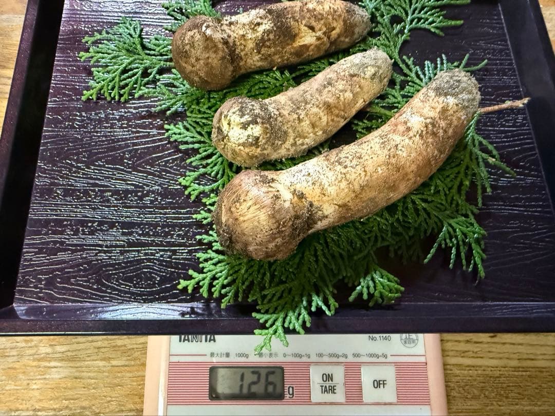 【送料込み】信州産 松茸 3本 126g