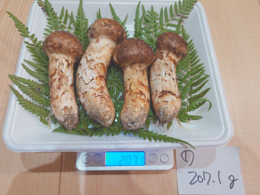 岩手県岩泉産　松茸（天然物）207g